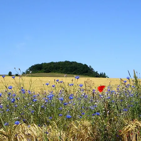 Hafenhaeuser Wiek Ferienwohnung 15 Apartmán
