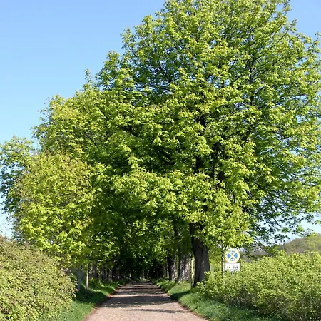 Hafenhaeuser Wiek Ferienwohnung 15